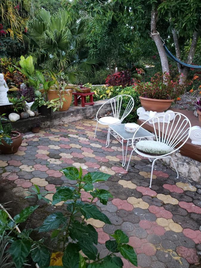 Villa Cliffe Ranch Mandeville Esterno foto