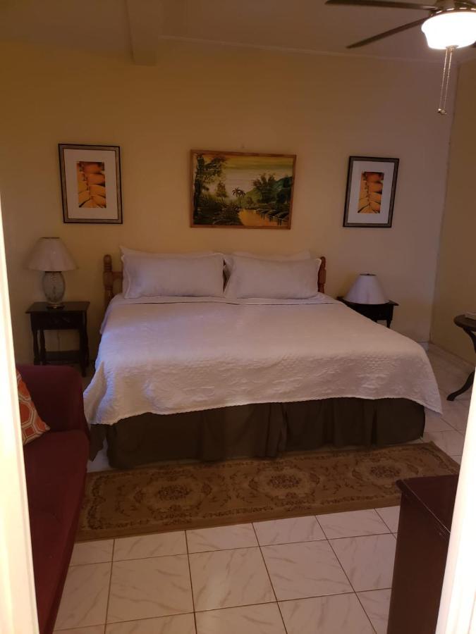 Villa Cliffe Ranch Mandeville Esterno foto