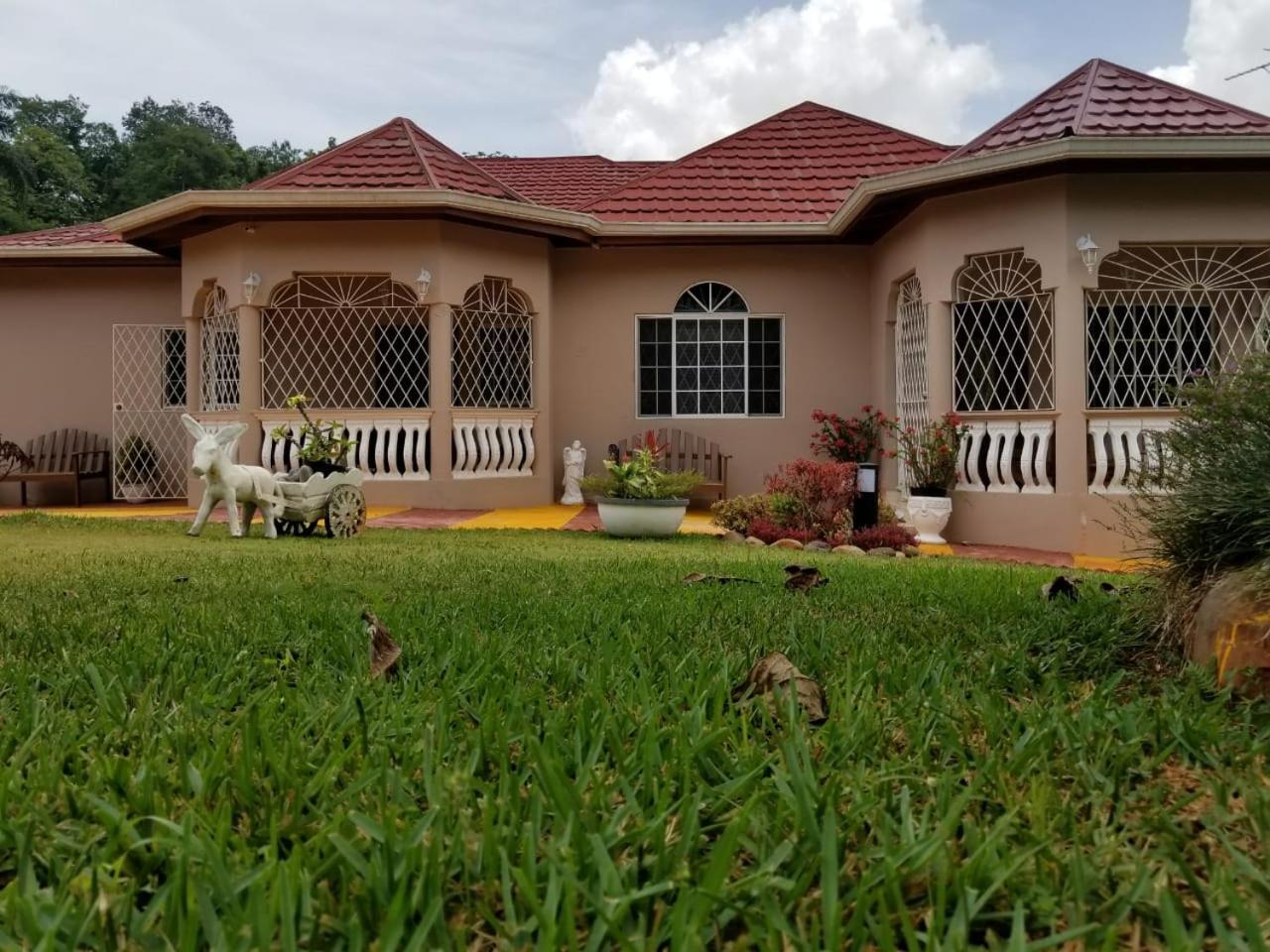 Villa Cliffe Ranch Mandeville Esterno foto