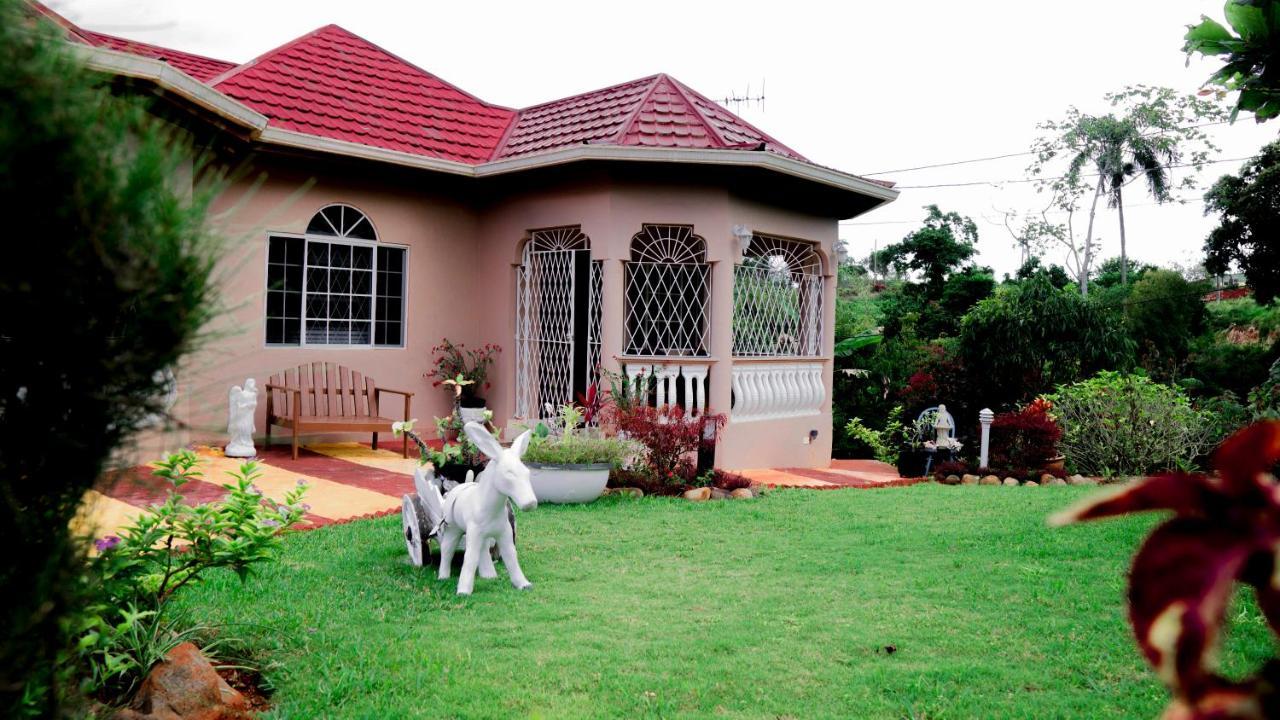 Villa Cliffe Ranch Mandeville Esterno foto