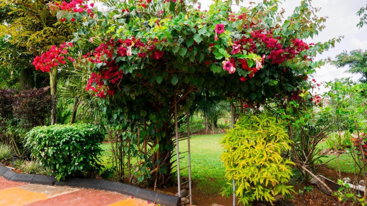 Villa Cliffe Ranch Mandeville Esterno foto